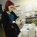Clinic Manager Bailey Hughes uses a paper towel to hold a mourning dove as she inspects the bird's injuries at the Bird Center of Washtenaw County on Tuesday morning. Melanie Maxwell I AnnArbor.com